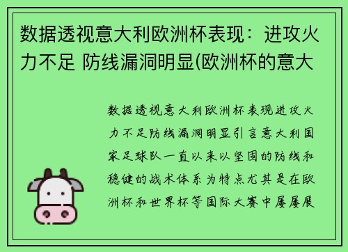 数据透视意大利欧洲杯表现：进攻火力不足 防线漏洞明显(欧洲杯的意大利队)