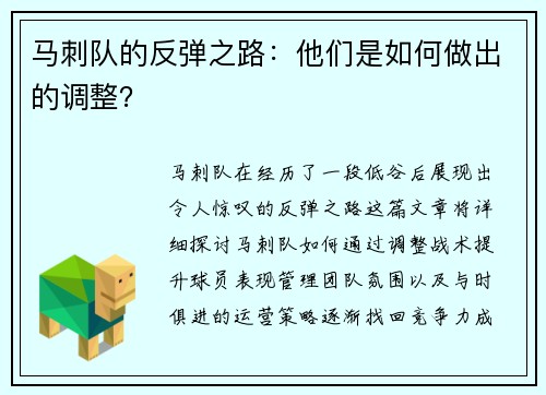 马刺队的反弹之路：他们是如何做出的调整？