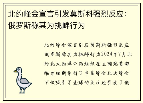 北约峰会宣言引发莫斯科强烈反应：俄罗斯称其为挑衅行为